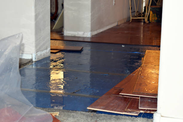 Professional Emergency Water Damage Restoration technician working in Long Branch, VA